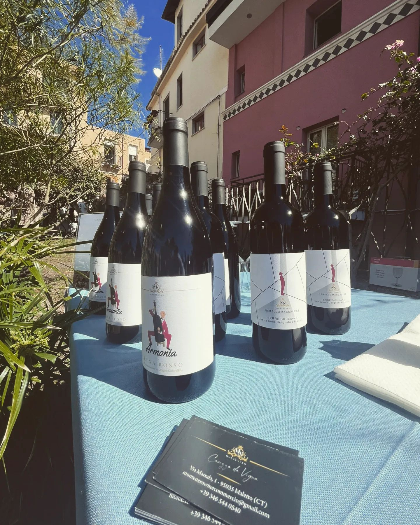 Harmony Etna Red